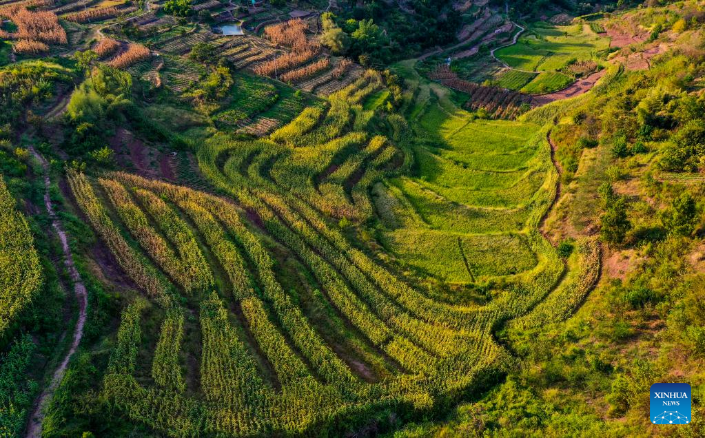 Scenery of Shiping Village in Chongqing, SW China