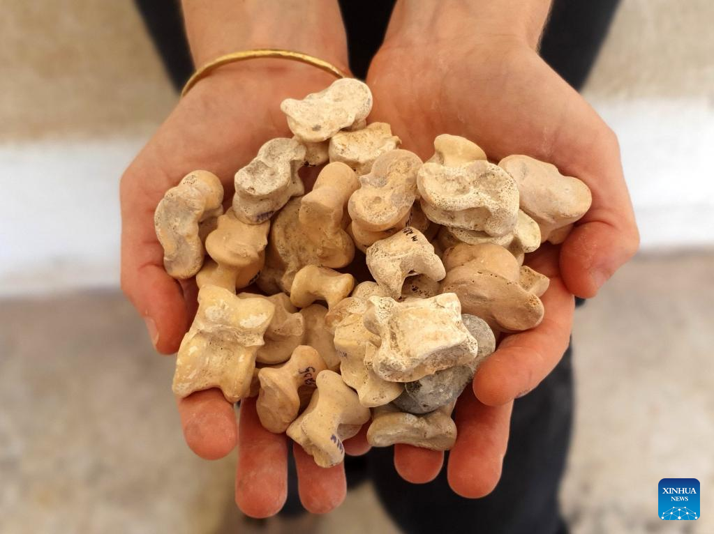 Israel discovers hundreds of 2,300-year-old knucklebone dices for gaming, divination