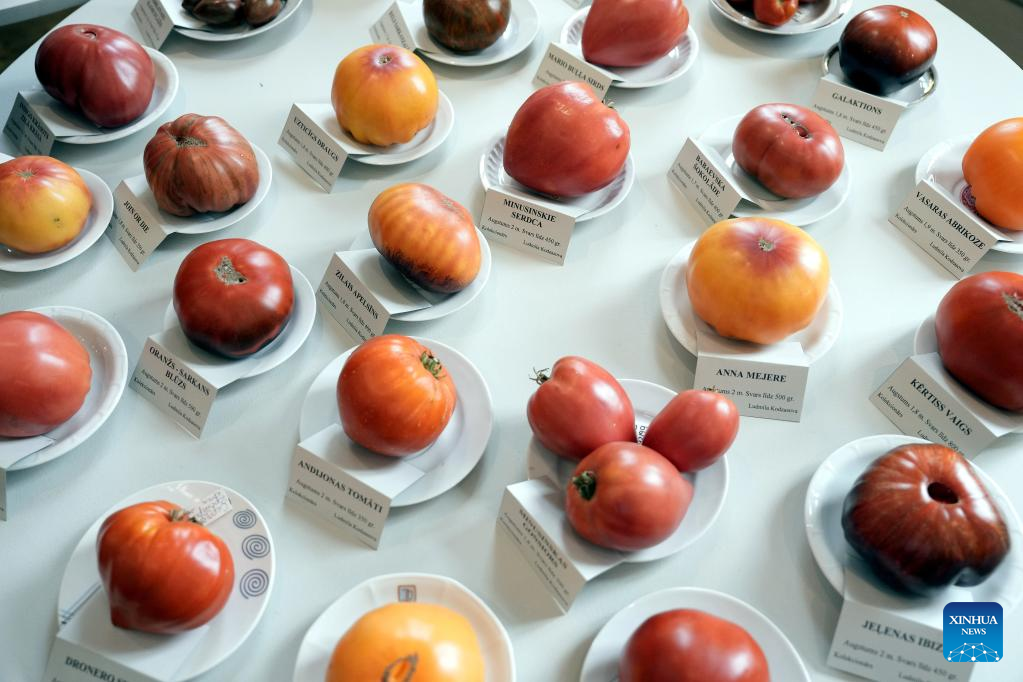 Tomatoes 2022 exhibition kicks off in Latvia