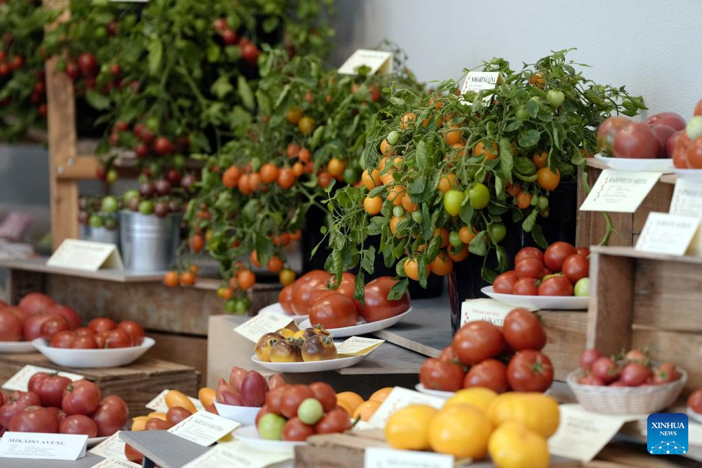 Tomatoes 2022 exhibition kicks off in Latvia