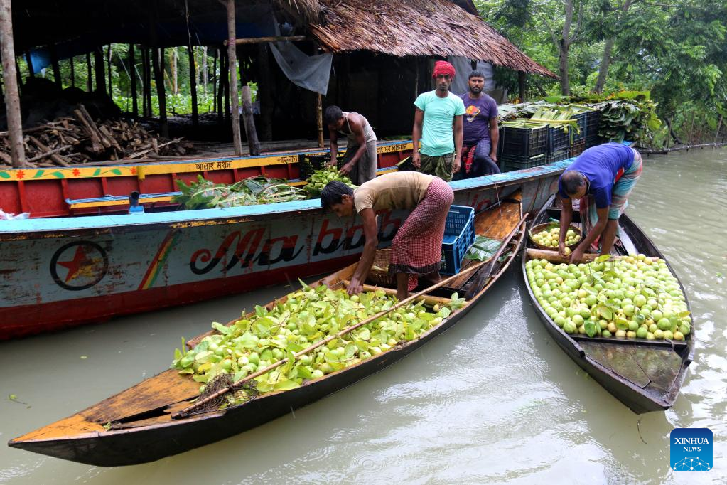 In pics: floating guava market in Jhalokati, Bangladesh