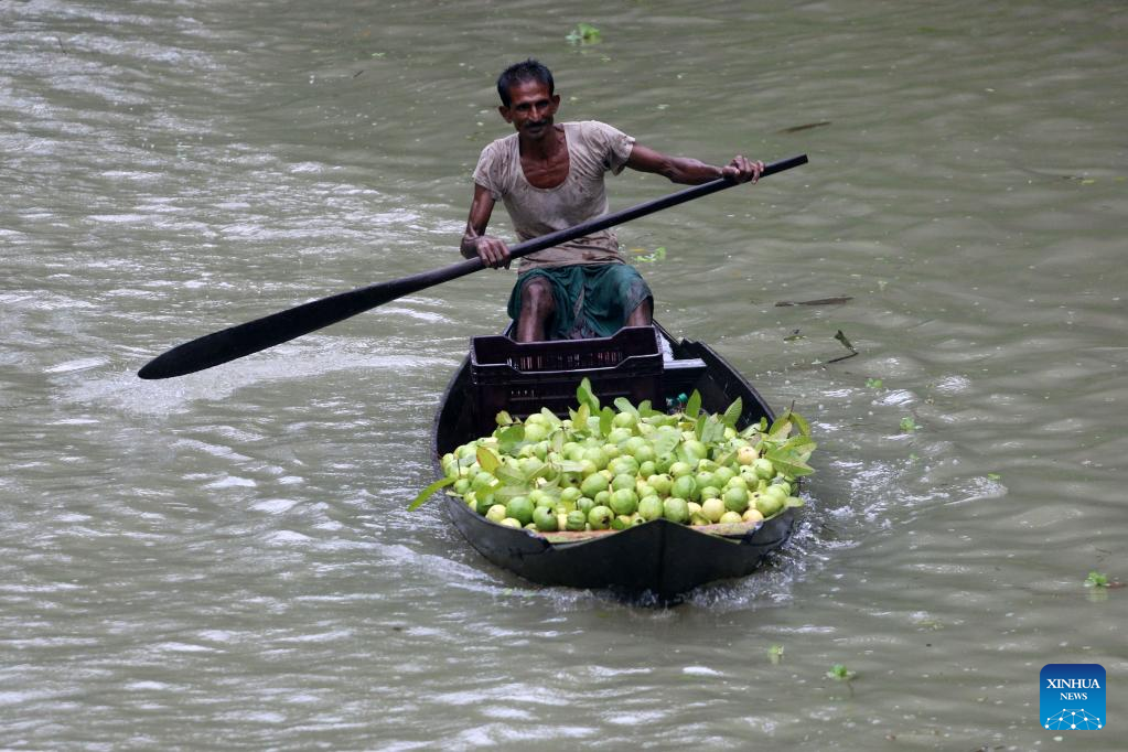 In pics: floating guava market in Jhalokati, Bangladesh