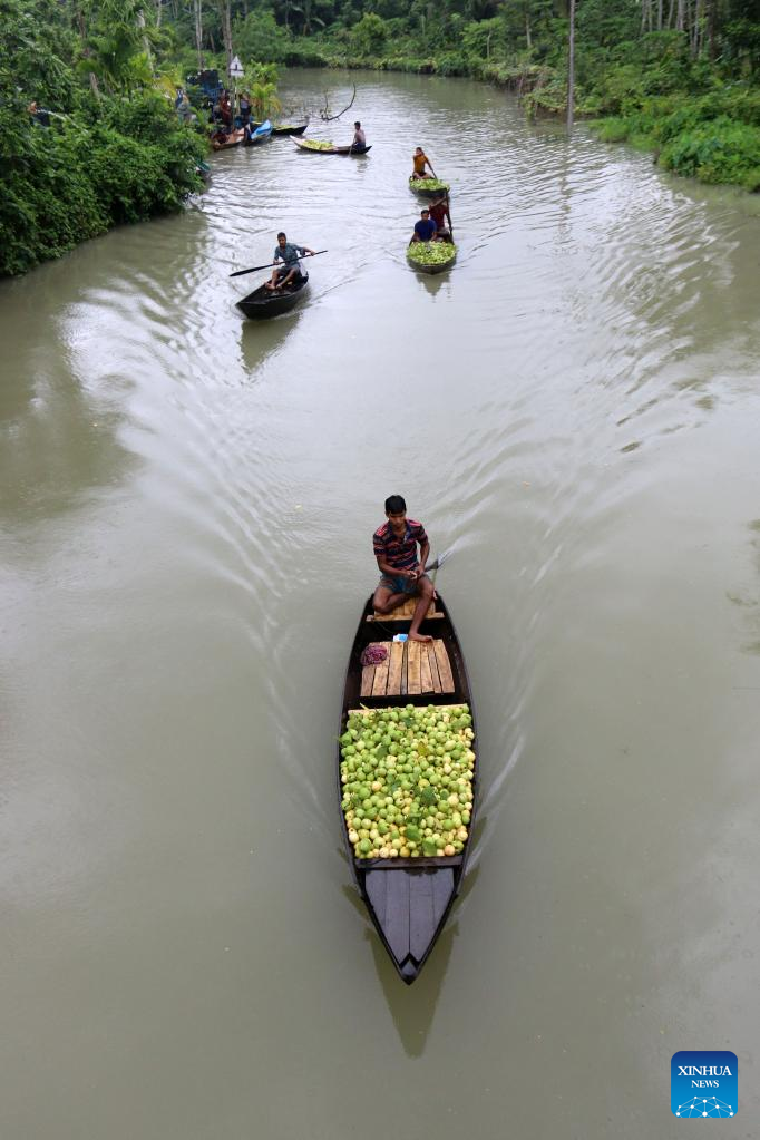 In pics: floating guava market in Jhalokati, Bangladesh