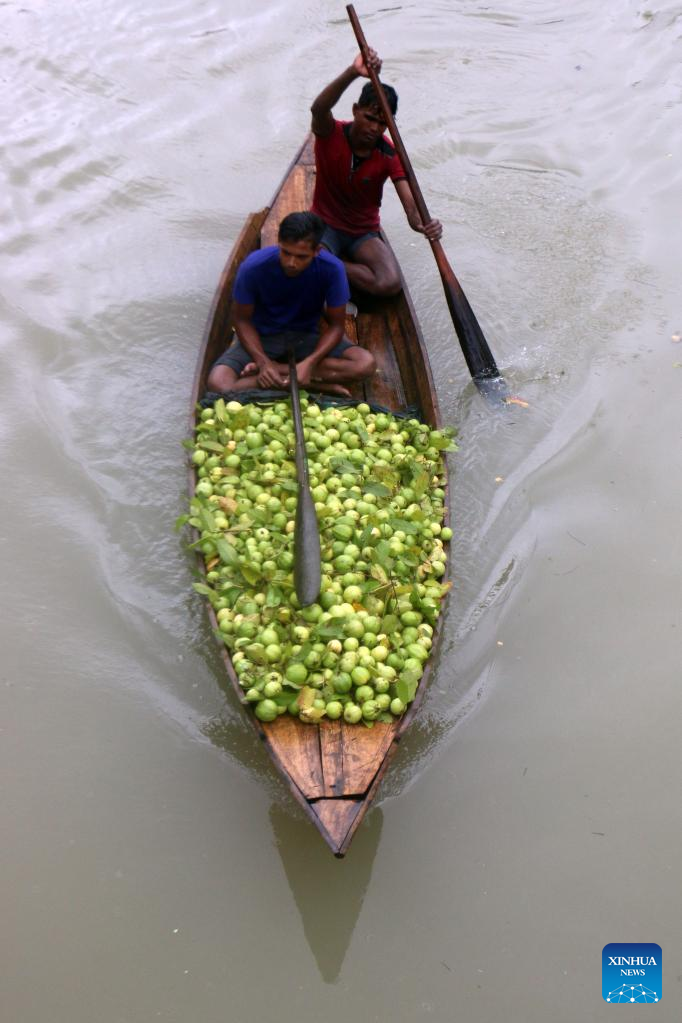 In pics: floating guava market in Jhalokati, Bangladesh