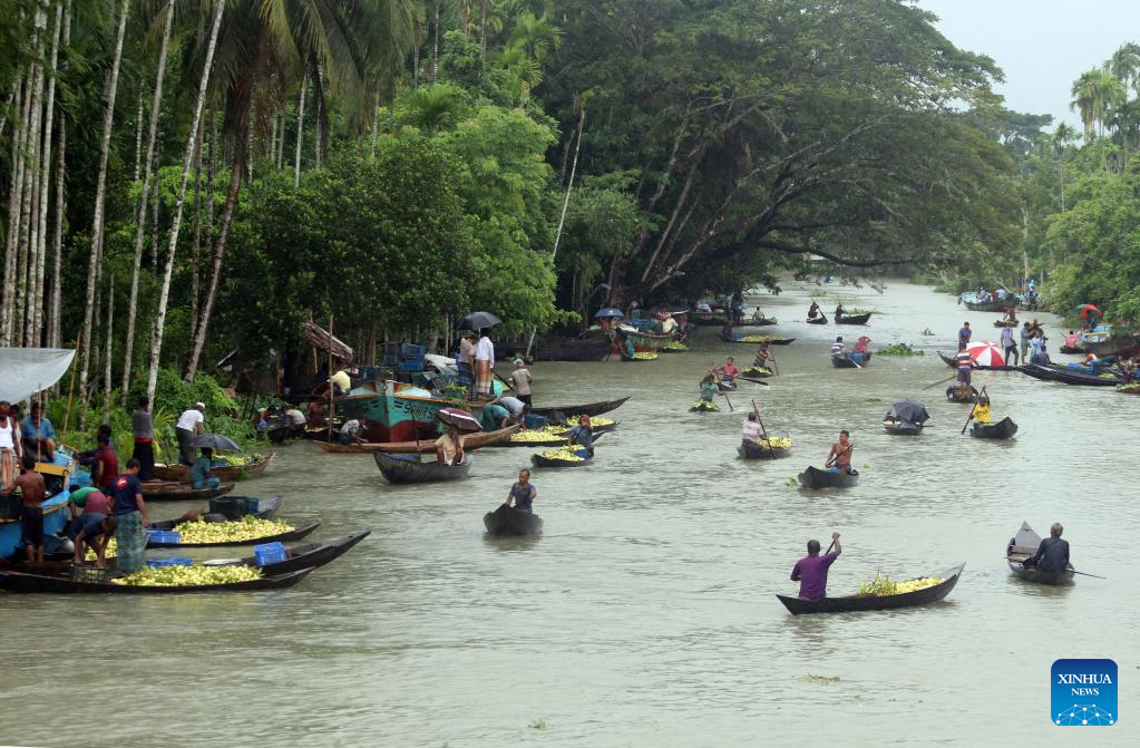 In pics: floating guava market in Jhalokati, Bangladesh