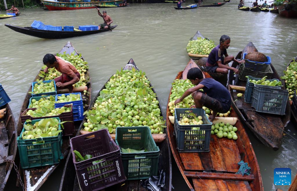 In pics: floating guava market in Jhalokati, Bangladesh