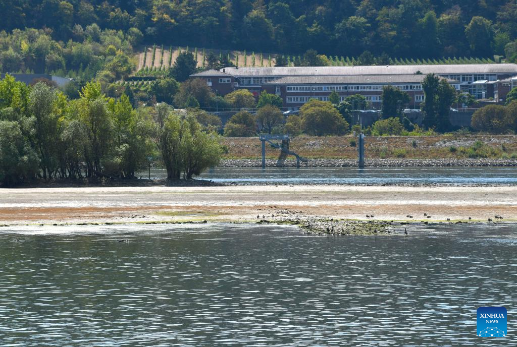 Water level of River Rhine drops in Germany