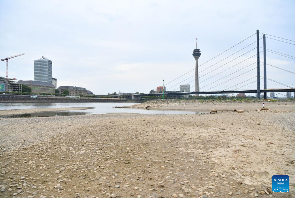 Water level of River Rhine drops in Germany