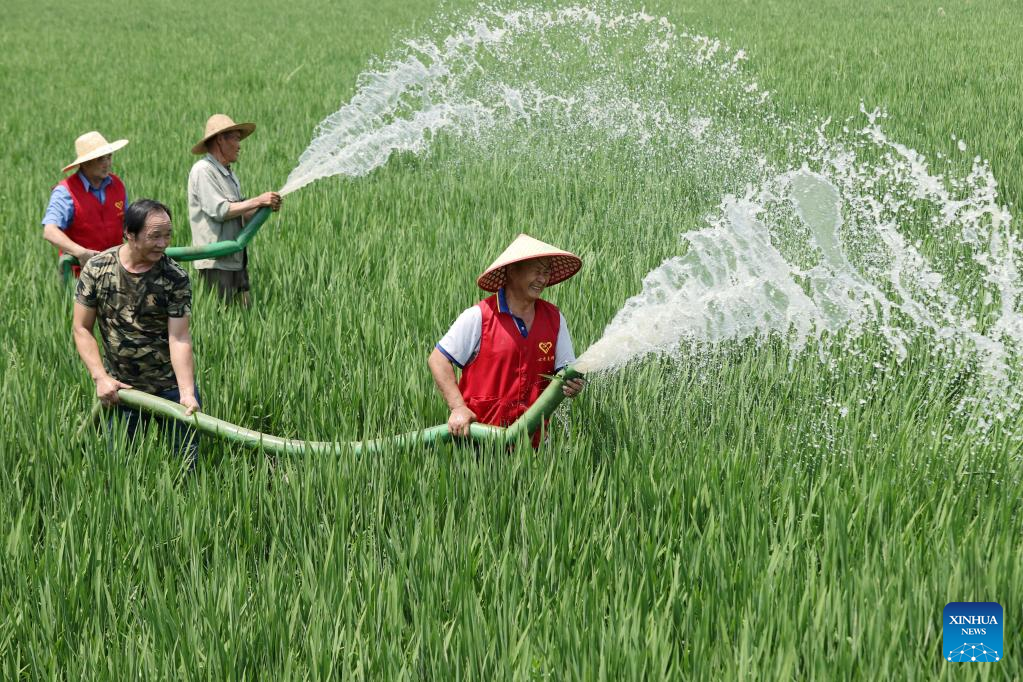 Irrigation measures taken to mitigate impact of drought on agriculture across China