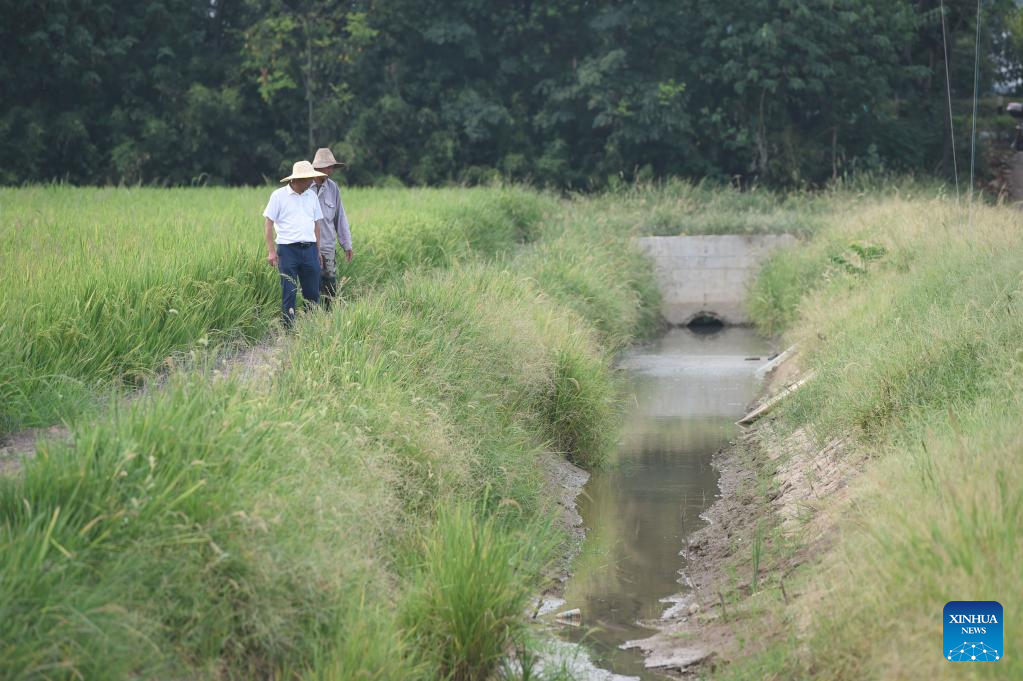 Locals channel water from Yangtze River into farmland amid drought in east China