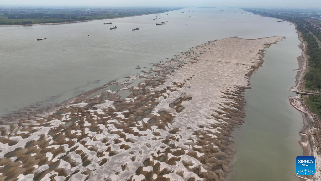 Water level of Yangtze River in east China's Jiujiang falls due to high temperature, less rainfall