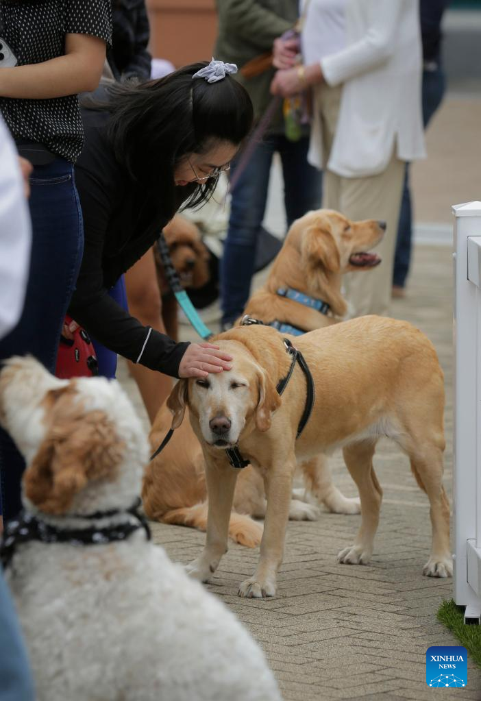 International Dog Day celebrated in Canada