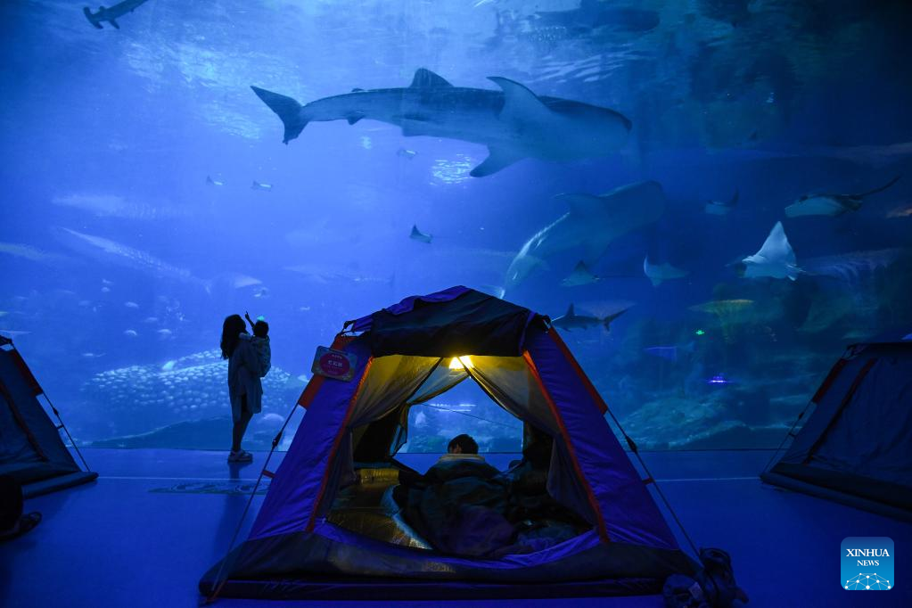 Night camping close to whale sharks in aquarium draws visitors in Zhuhai, S China