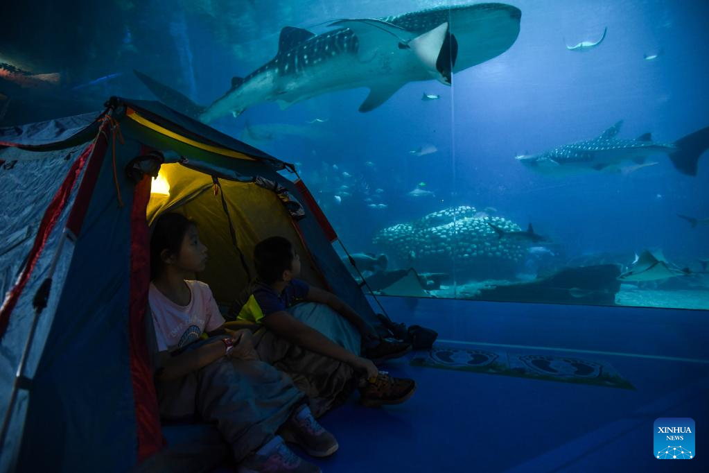 Night camping close to whale sharks in aquarium draws visitors in Zhuhai, S China