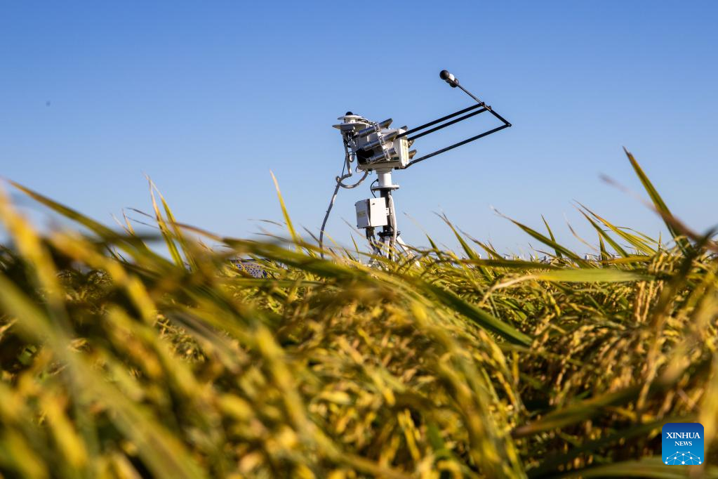 Cutting-edge information technologies adopted for agriculture in NE China's Heilongjiang
