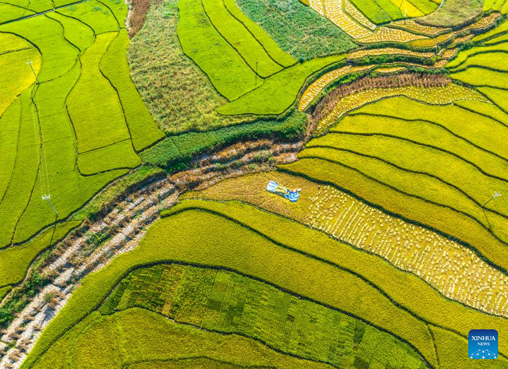 Autumn farming in China