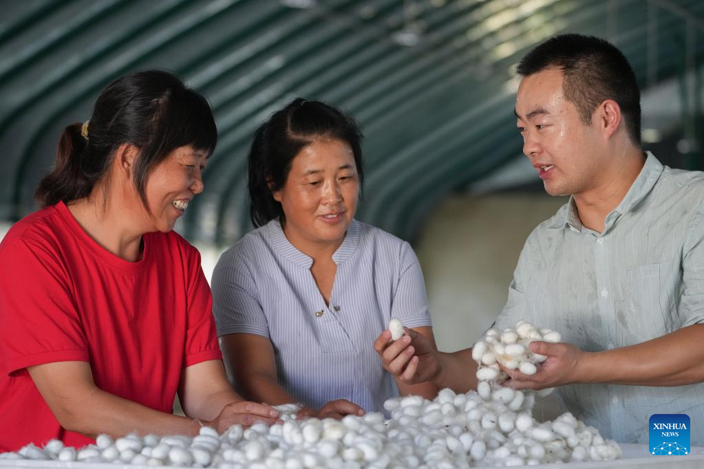 Researchers provide guidance for silkworm farmers in E China's Anhui