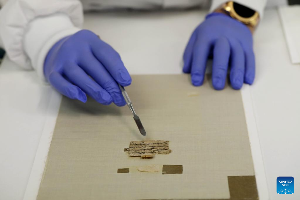 Israel gets back 2,600-year-old rare papyrus from U.S. private owner