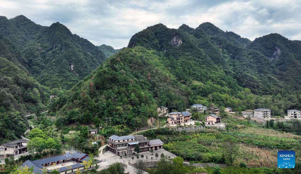 County in China's Shaanxi transforms ecological resources to green economy