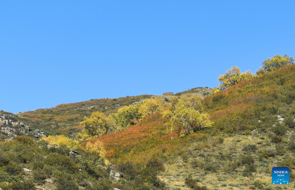 Autumn scenery of Daqing Mountain in Hohhot, north China's Inner Mongolia
