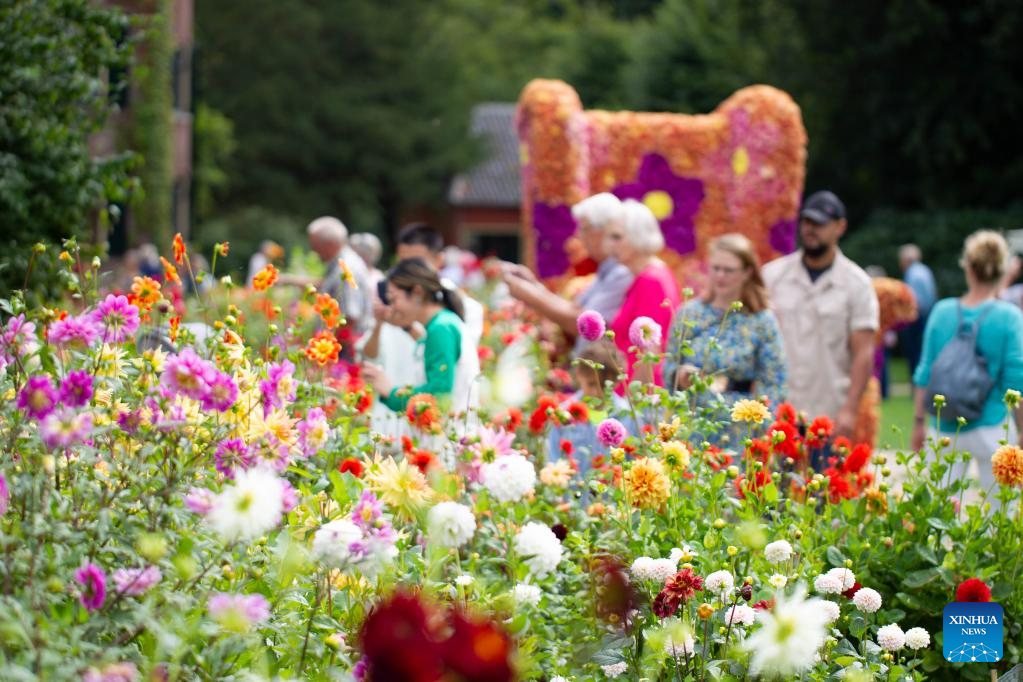 People enjoy dahlia flowers in Lisse, the Netherlands