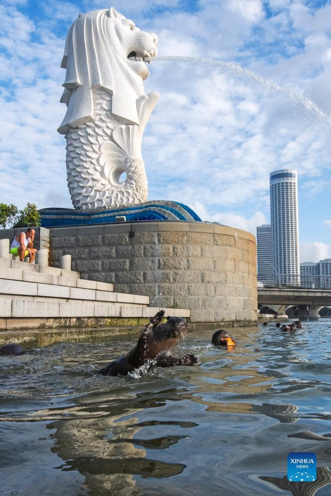 50th birthday of Merlion marked in Singapore