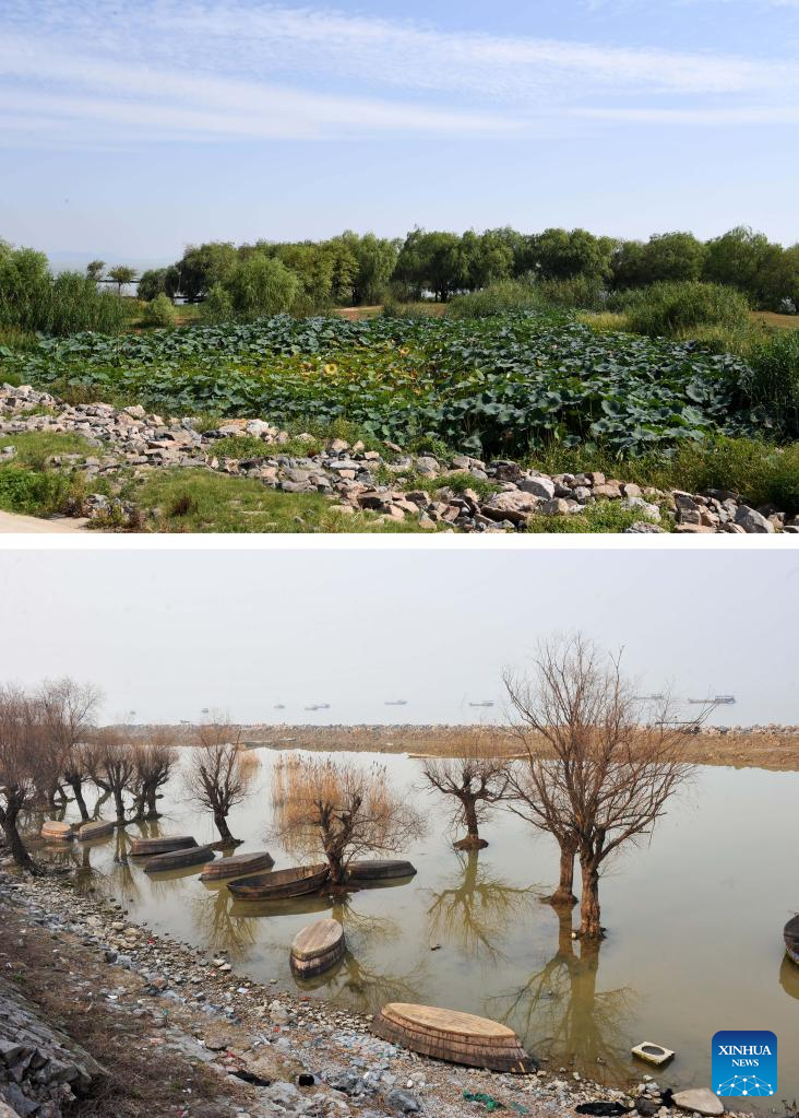 Hefei City strengthens protection of wetlands around Chaohu Lake in east China