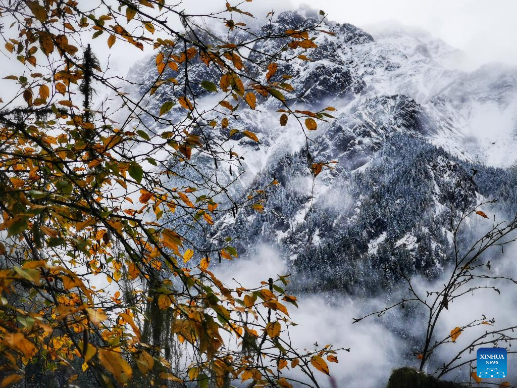 Snow scenery of Jiuzhaigou scenic area in Sichuan