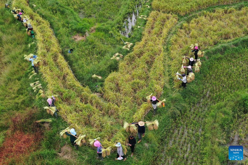 View of harvest across China