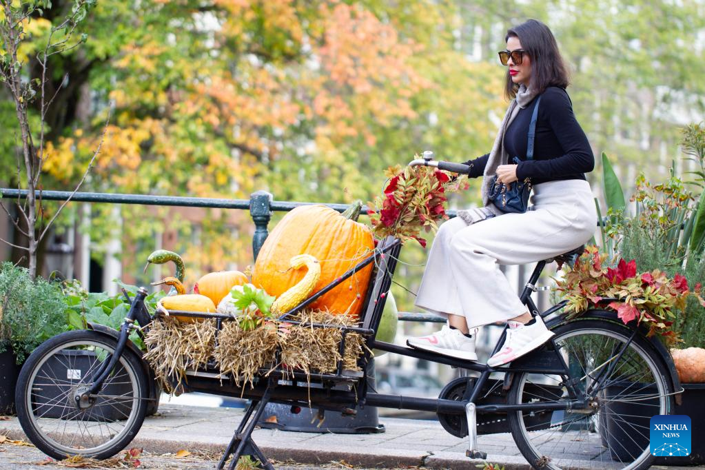 People visit pumpkin garden in central Amsterdam, Netherlands