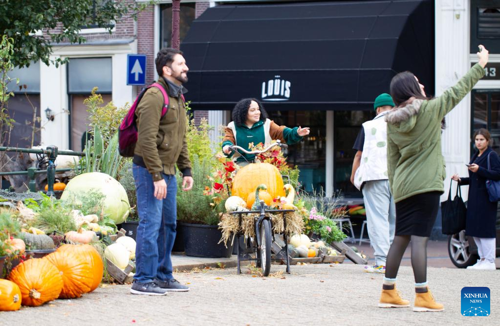 People visit pumpkin garden in central Amsterdam, Netherlands