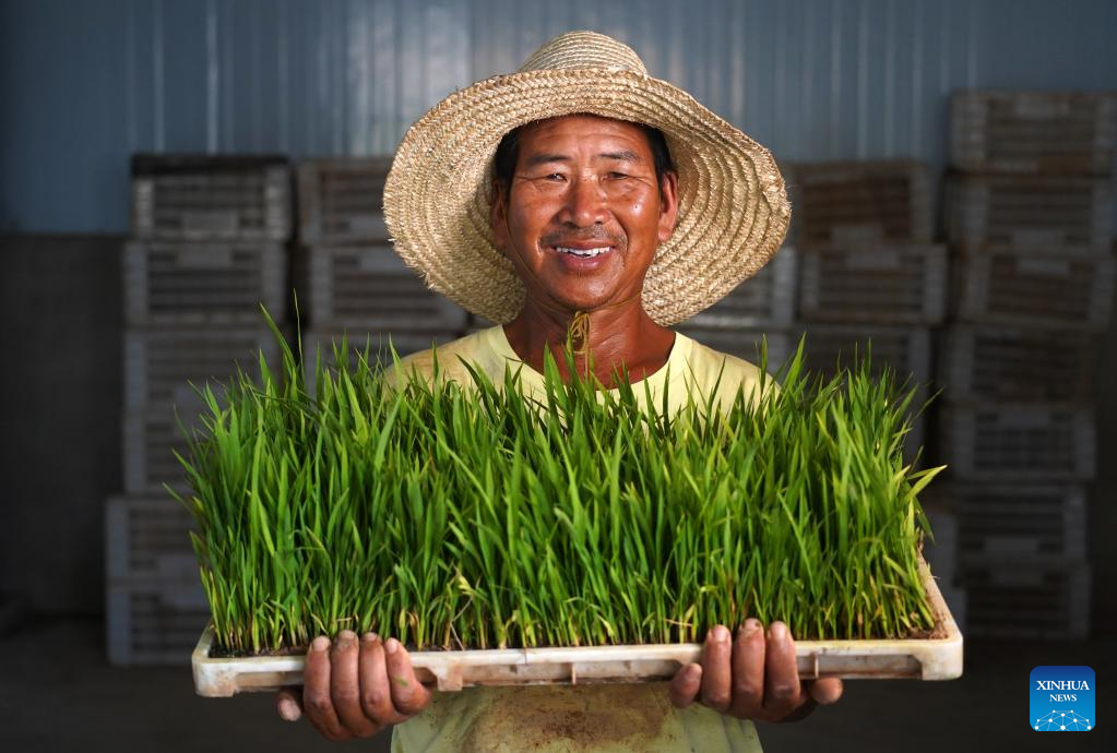 In pics: rice production process in east China's Jiangxi