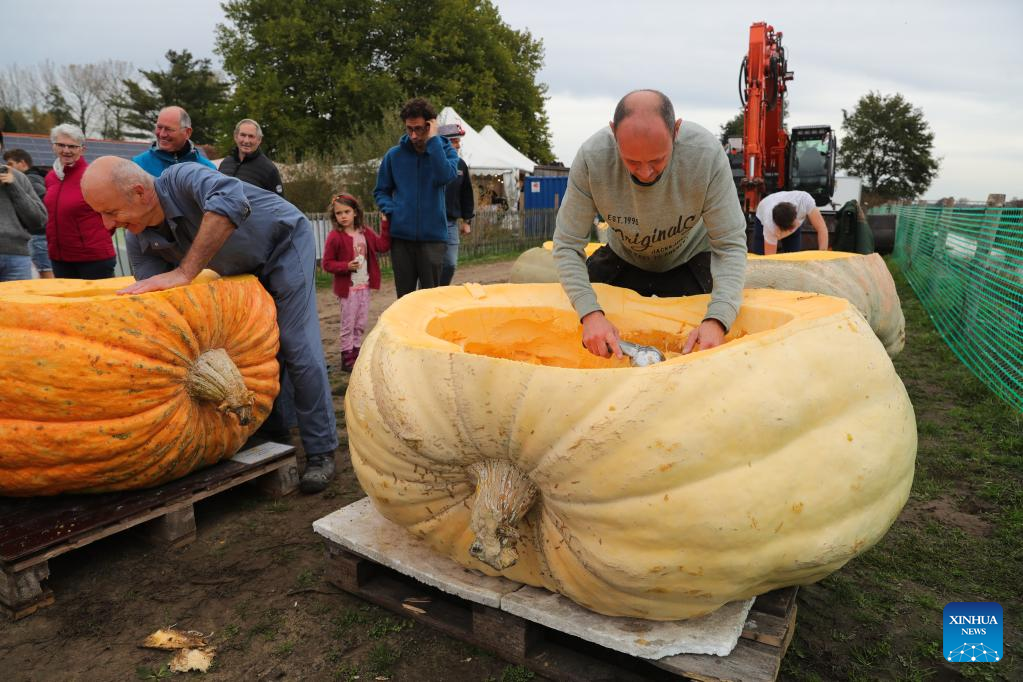 People compete in pumpkin regatta in Belgium