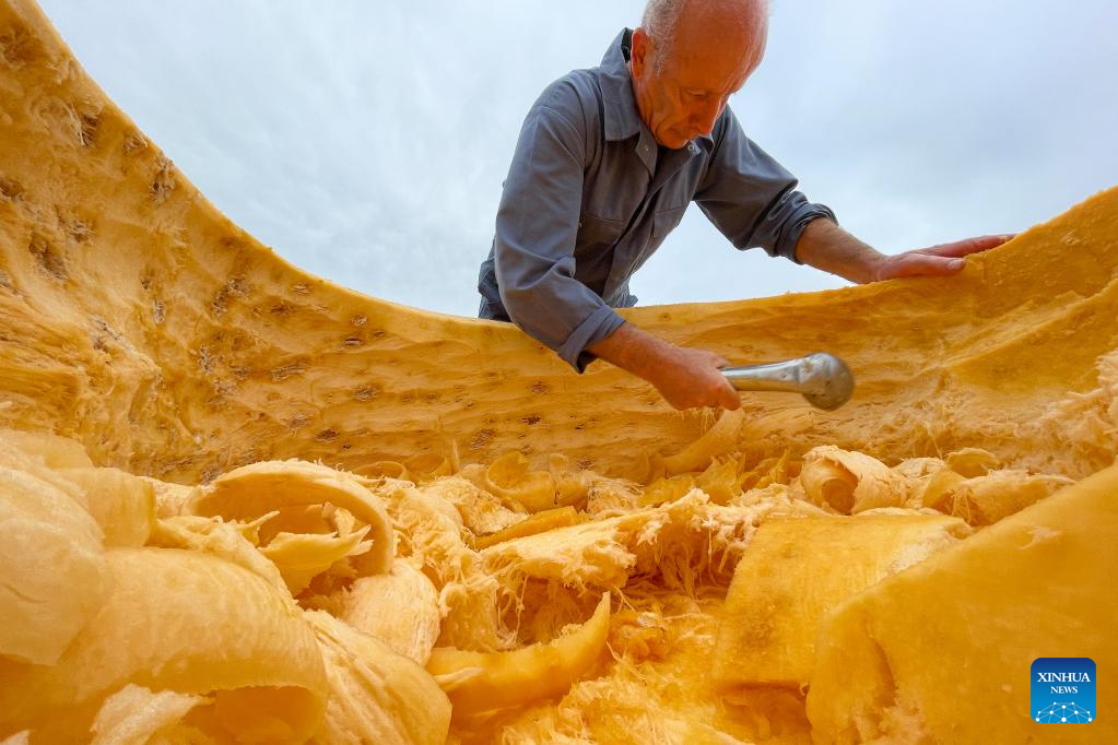 People compete in pumpkin regatta in Belgium