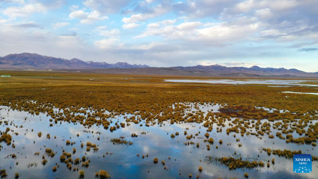 SW China's autonomous prefecture sees better ecological environment in wetlands