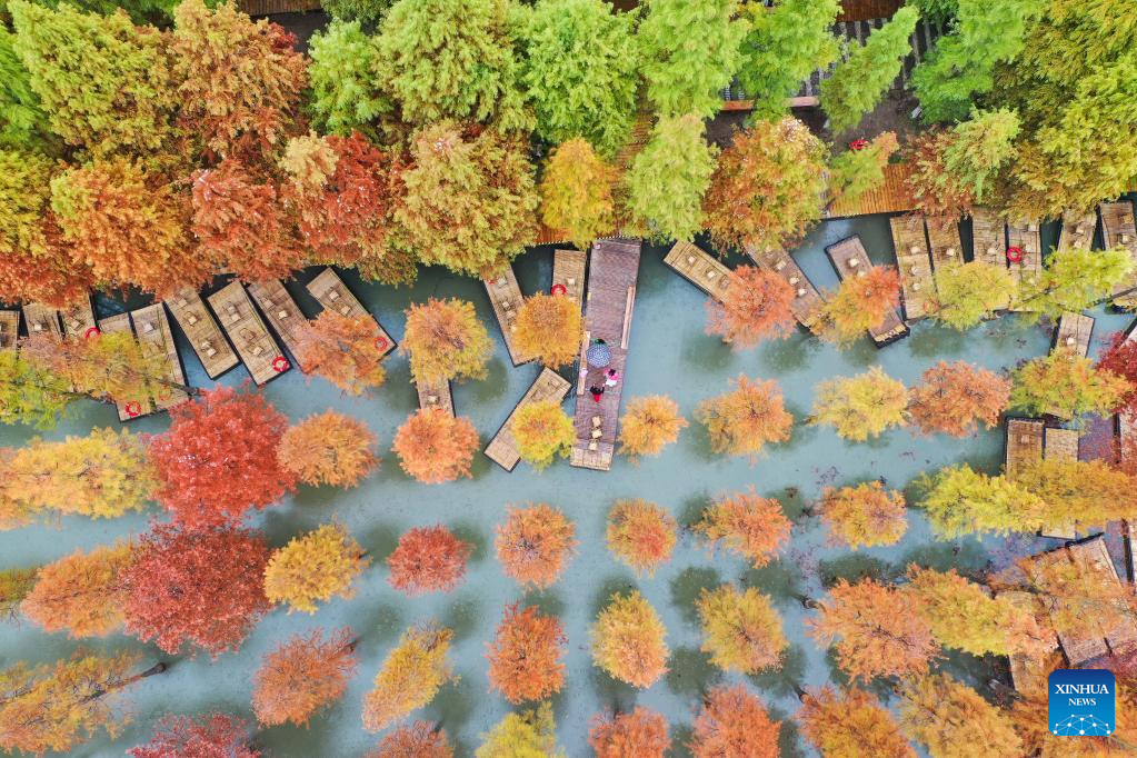 Autumn scenery of Hongze Lake Wetland Scenic Area in east Chinaen