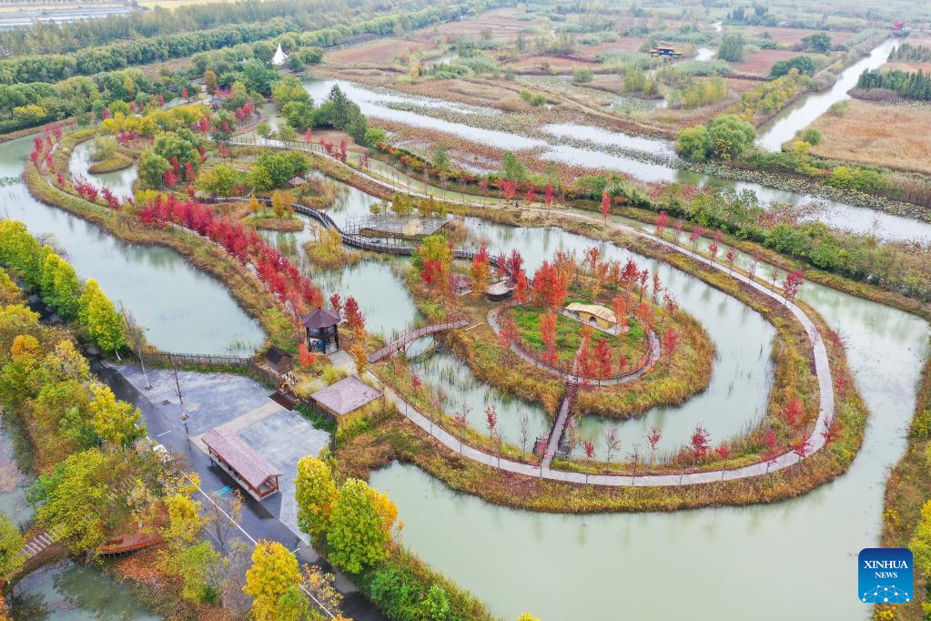 Autumn scenery of Hongze Lake Wetland Scenic Area in east Chinaen