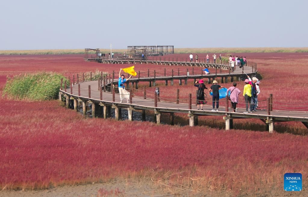 In pics: Liaohe Delta in NE China's Liaoning