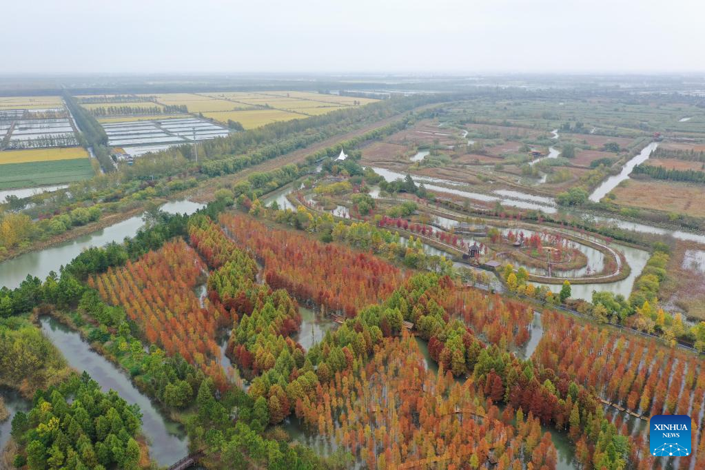 Autumn scenery of Hongze Lake Wetland Scenic Area in east China