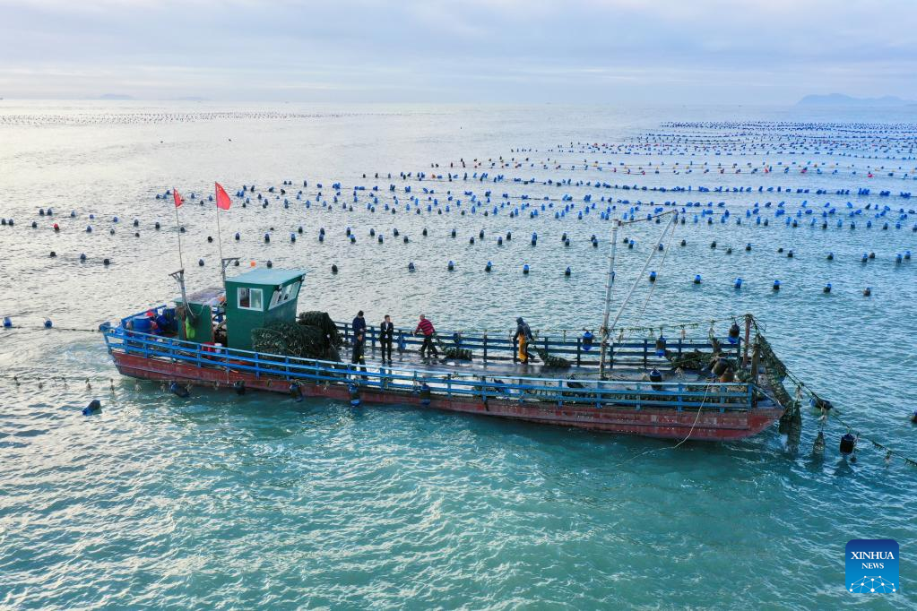 Aquatic products harvested in Xiapu County, SE China's Fujian