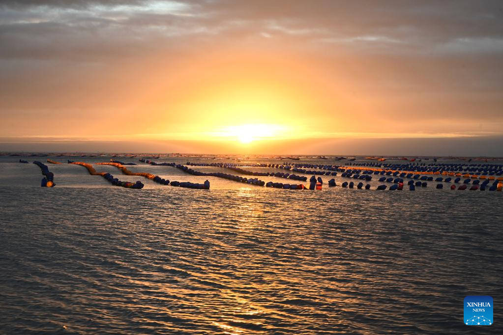 Aquatic products harvested in Xiapu County, SE China's Fujian