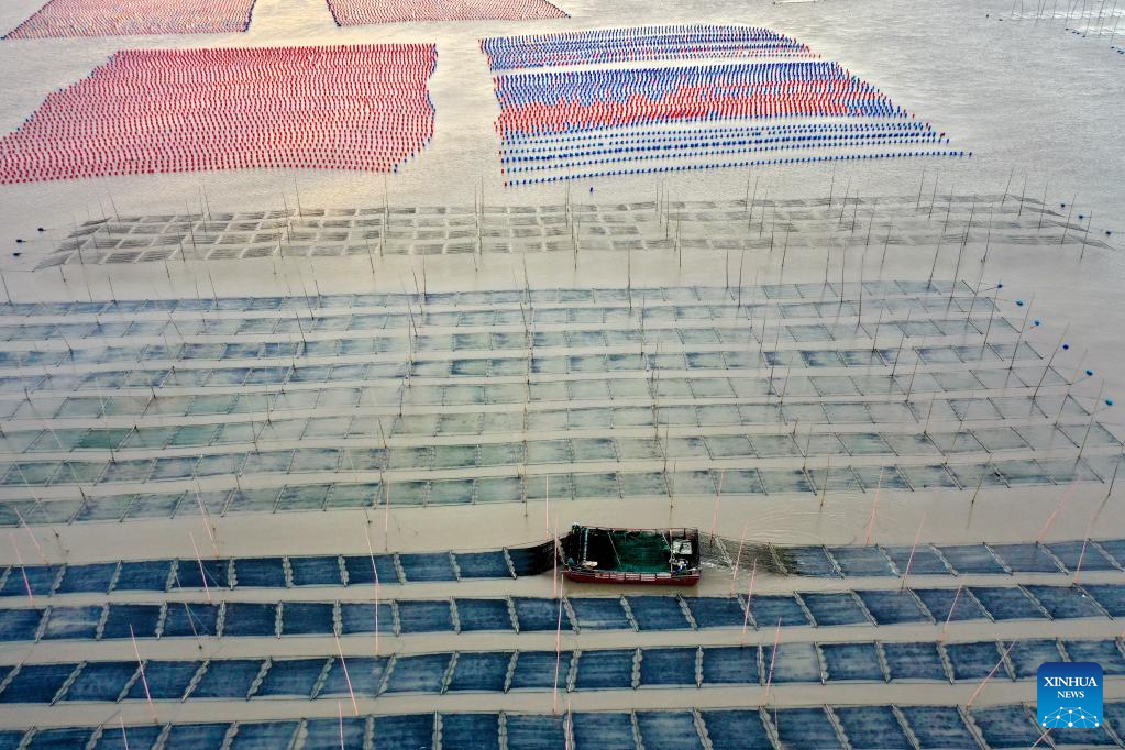 Aquatic products harvested in Xiapu County, SE China's Fujian