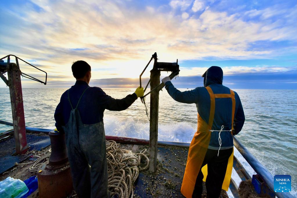 Aquatic products harvested in Xiapu County, SE China's Fujian