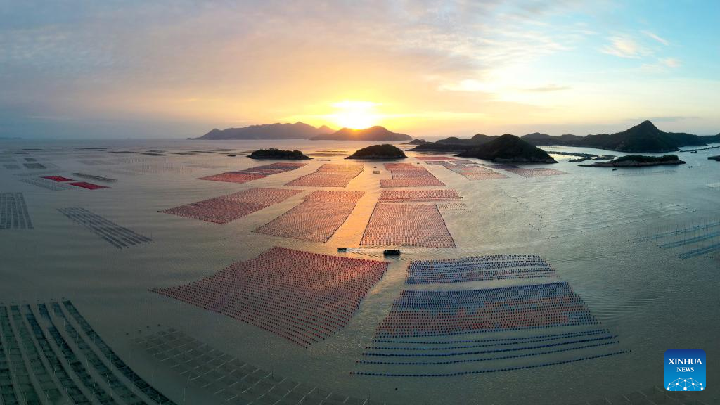 Aquatic products harvested in Xiapu County, SE China's Fujian