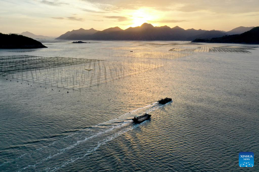 Aquatic products harvested in Xiapu County, SE China's Fujian