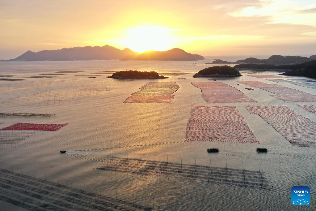 Aquatic products harvested in Xiapu County, SE China's Fujian