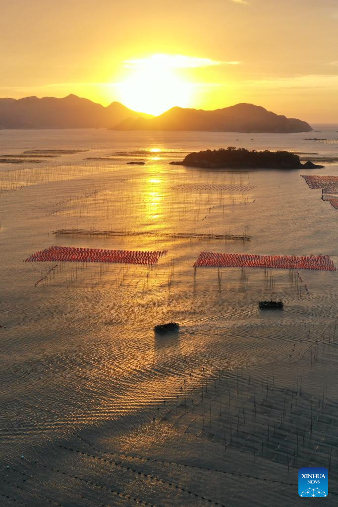 Aquatic products harvested in Xiapu County, SE China's Fujian