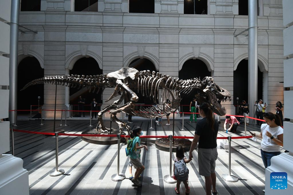 Skeleton of Tyrannosaurus Rex displayed in Singapore