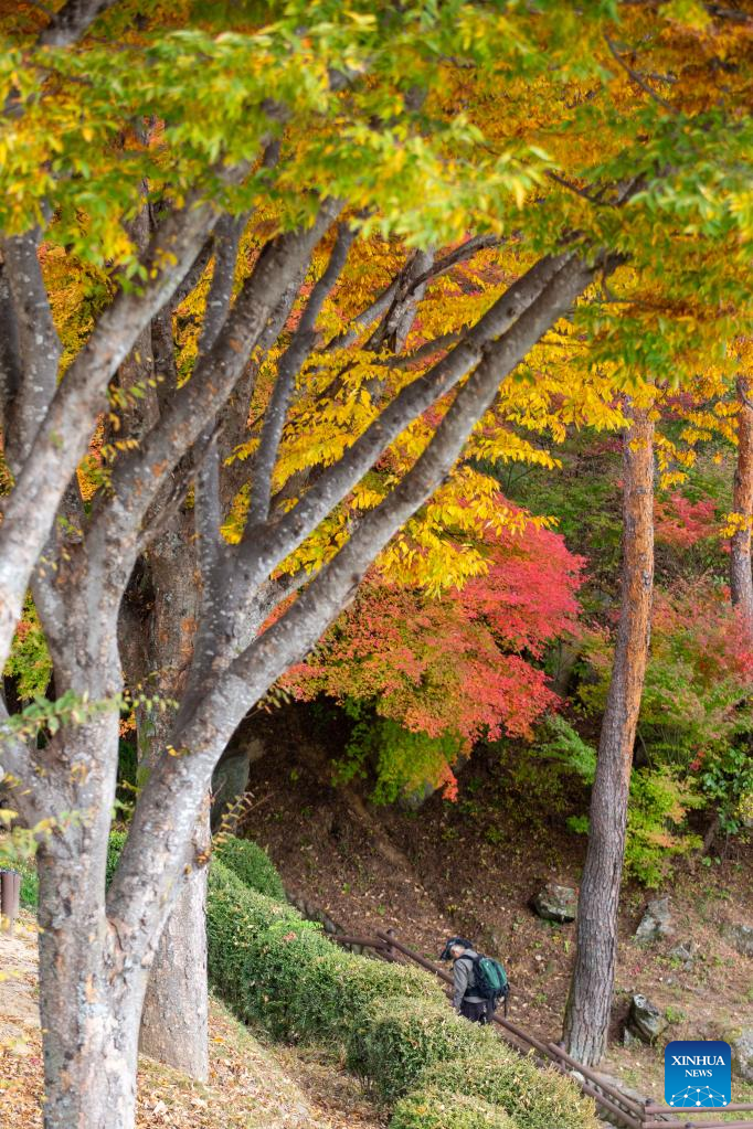 Autumn scenery in Andong, South Korea