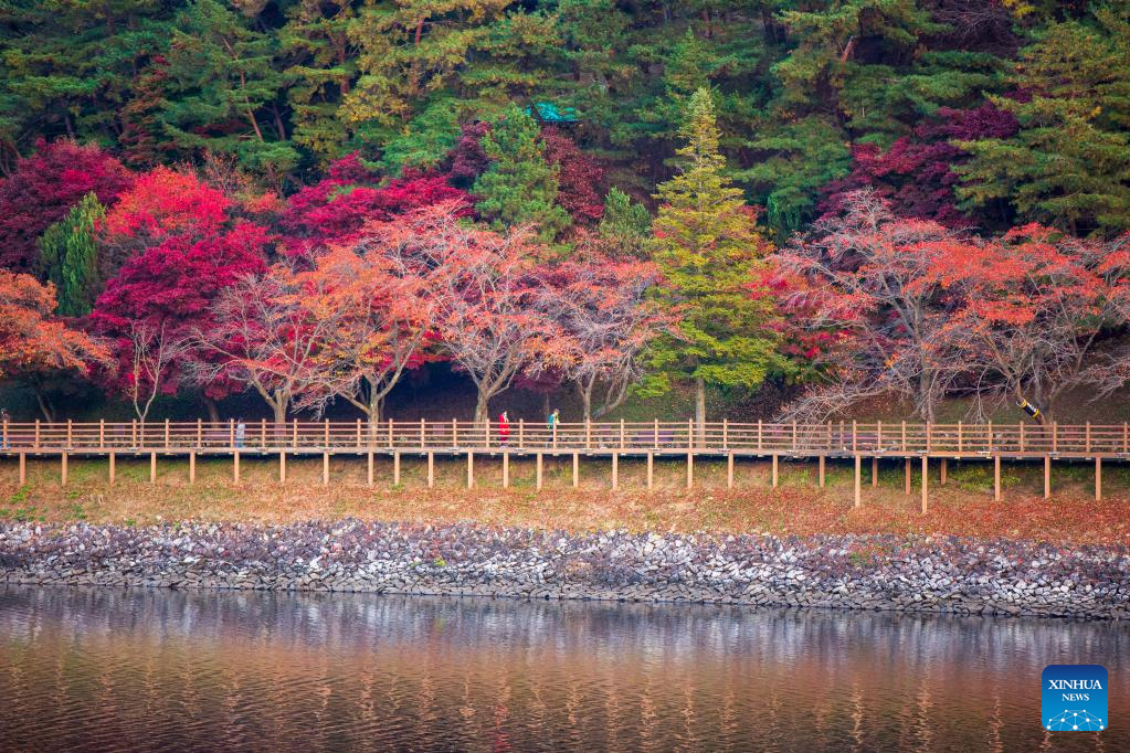 Autumn scenery in Andong, South Korea